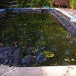 Algae Filled Pool - Reading, PA